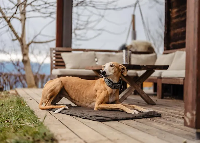 Boutique - Herke Holiday home Eitweg